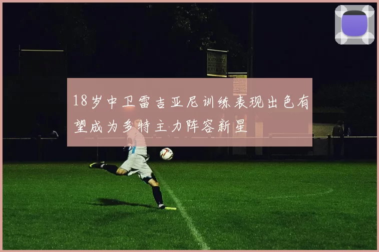 18岁中卫雷吉亚尼训练表现出色有望成为多特主力阵容新星