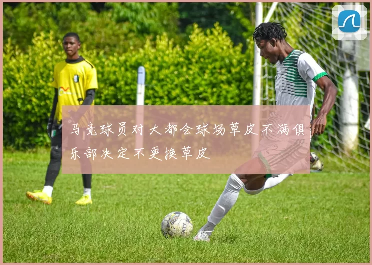 马竞球员对大都会球场草皮不满俱乐部决定不更换草皮